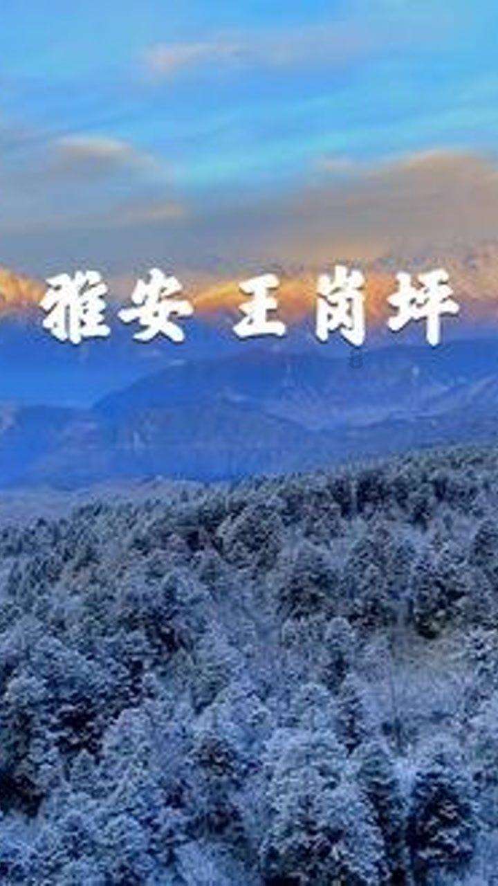 老旧废弃楼房逃脱7